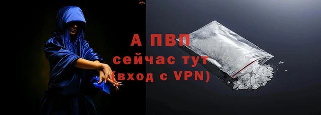 эйфоретик Корсаков