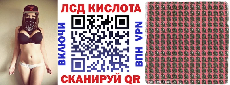 Купить закладки  Новопавловск  Наркотические марки 1,5мг 