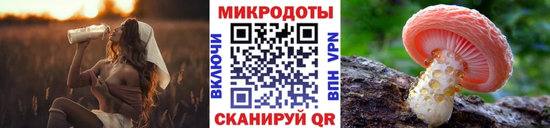 Купить  Новопавловск  Галлюциногенные грибы прущие грибы 
